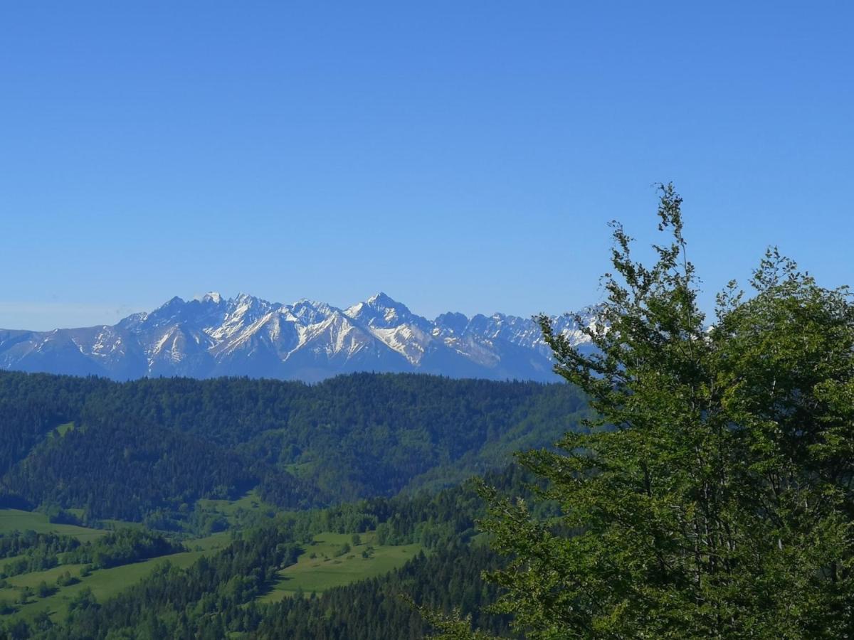 Gorczanskie Siedlisko Ochotnica Górna Buitenkant foto
