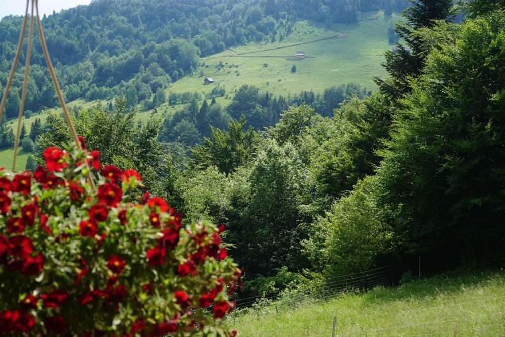 Gorczanskie Siedlisko Ochotnica Górna Buitenkant foto